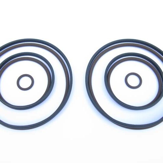 Beisan Double Vanos Seals Repair Kit - 6cyl (BS001)
