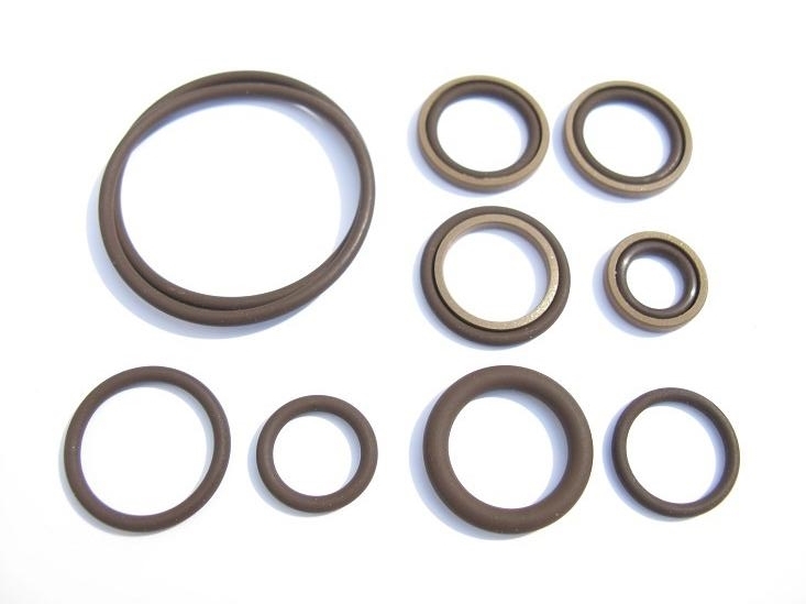 Beisan S54 Vanos Seals Repair Kit (BS021)
