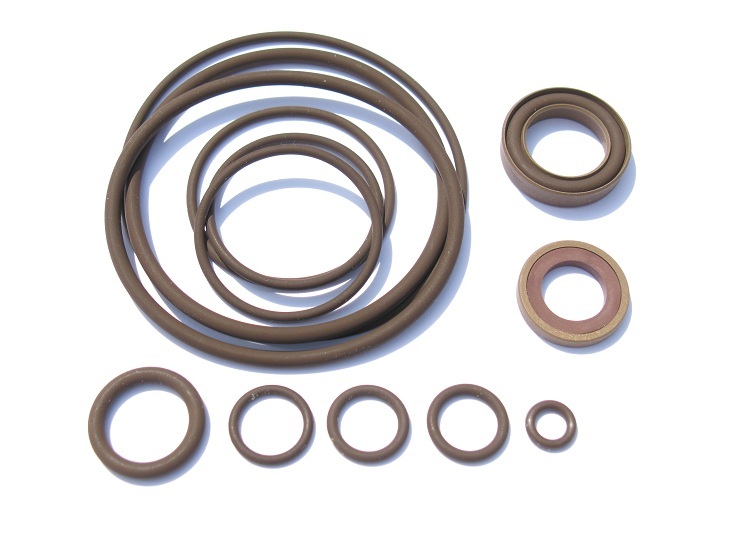 Beisan S50B30 Vanos Seals Repair Kit (BS031)