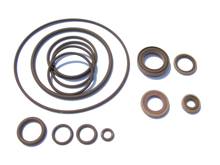 Beisan S50B32 Vanos Seals Repair Kit (BS041)