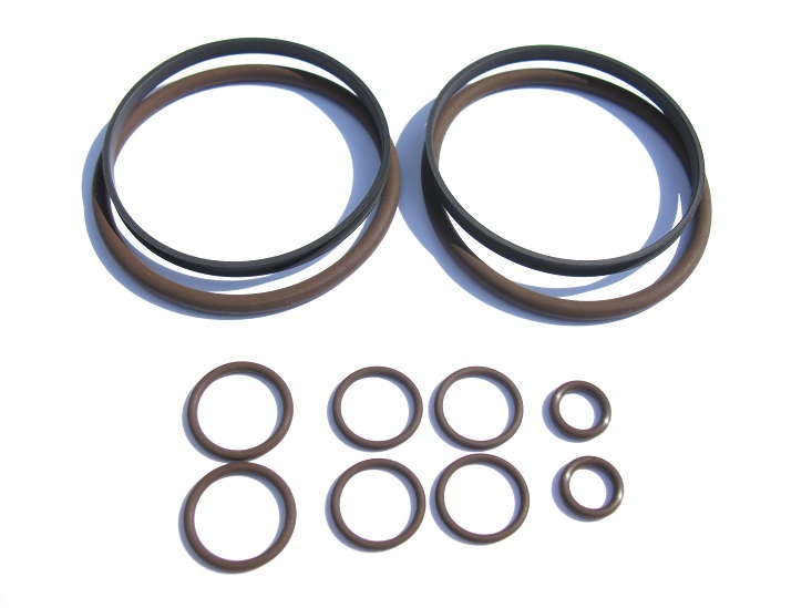 Beisan M62TU Vanos Seals Repair Kit (BS051)