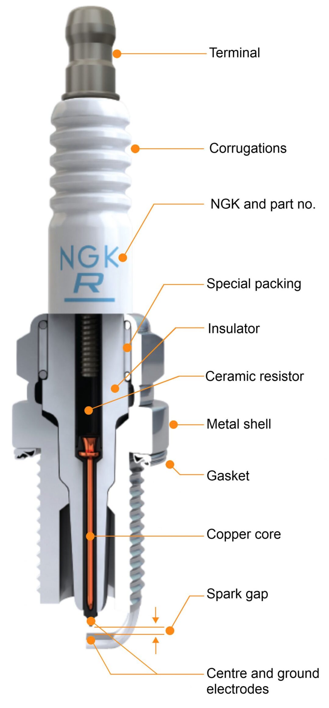 NGK NGK Spark Plug cutaway