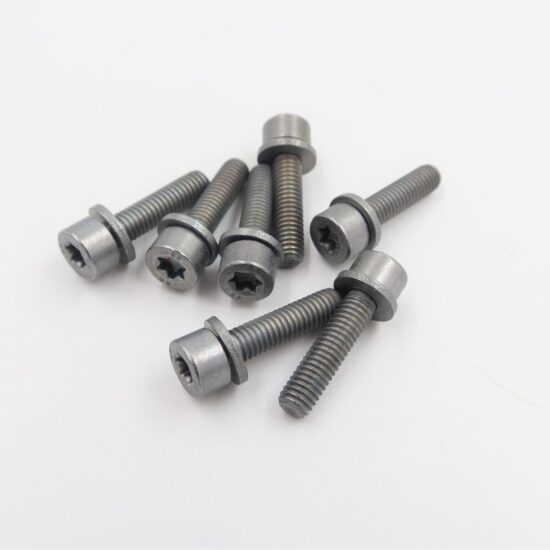 Internal Torx Screw with Washer - 07129905558