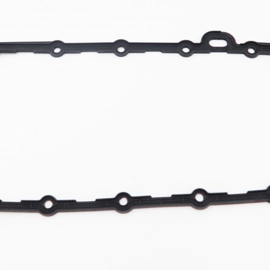 Profile Gasket - 11121406744