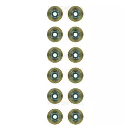 Victor Reinz Exhaust Valve Stem Seal Set (S55/B58/N52/N54/N55)