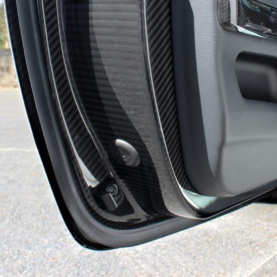 Karbonius Carbon Fibre Doors (E92 M3)
